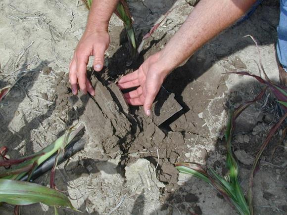 AVOIDING SOIL COMPACTION EASIER THAN CORRECTING